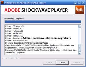 shockwave player windows